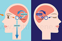 Insonnia e serotonina